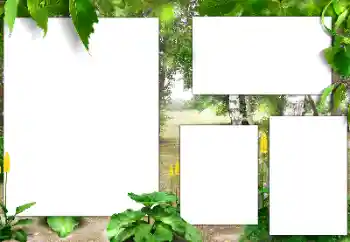 照片效果分类 夏 № 141163