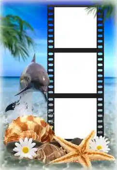 照片效果分类 夏 № 142225 照片效果分类 夏 № 142225