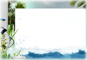 照片效果分类 夏 № 142304