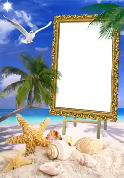 照片效果分类 夏 № 1471