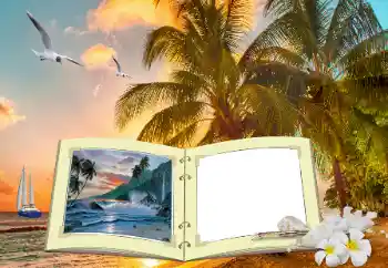 照片效果分类 夏 № 147911