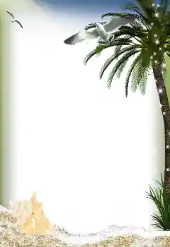 照片效果分类 夏 № 149037