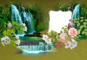照片效果分类 夏 № 153156