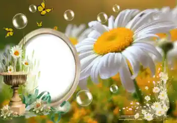照片效果分类 夏 № 153157