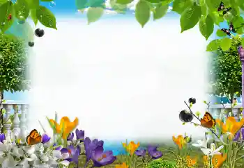 照片效果分类 夏 № 153205