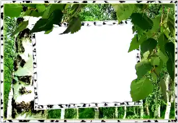 照片效果分类 夏 № 154334
