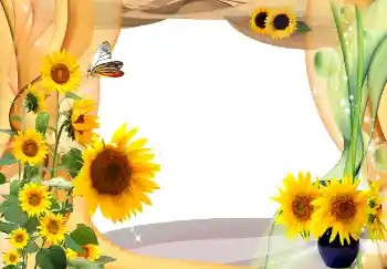 照片效果分类 夏 № 1566