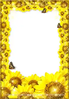 照片效果分类 夏 № 1571