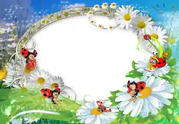 照片效果分类 夏 № 1572