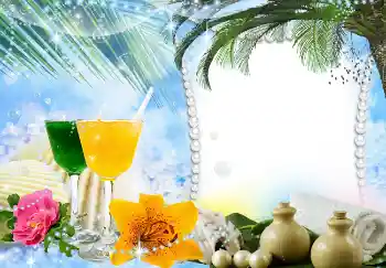 照片效果分类 夏 № 1579