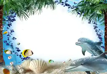 照片效果分类 夏 № 1580