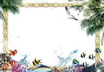 照片效果分类 夏 № 1583