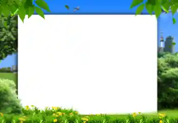 照片效果分类 夏 № 158421 照片效果分类 夏 № 158421
