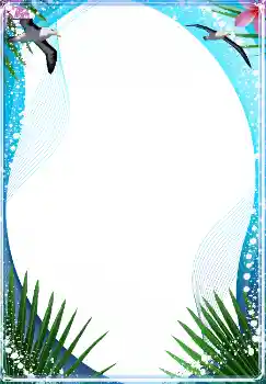照片效果分类 夏 № 1588