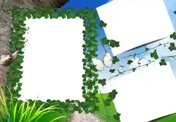 照片效果分类 夏 № 160662 照片效果分类 夏 № 160662