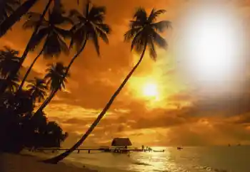 照片效果分类 夏 № 164793 照片效果分类 夏 № 164793