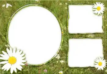 照片效果分类 夏 № 166475 照片效果分类 夏 № 166475