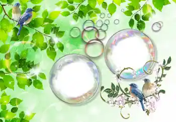 照片效果分类 夏 № 167832 照片效果分类 夏 № 167832