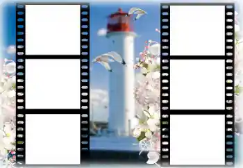 照片效果分类 夏 № 167969 照片效果分类 夏 № 167969
