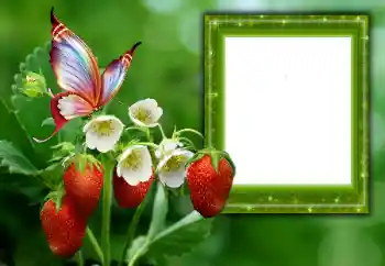 照片效果分类 夏 № 168002 照片效果分类 夏 № 168002