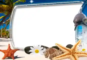 照片效果分类 夏 № 182181