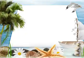 照片效果分类 夏 № 188095