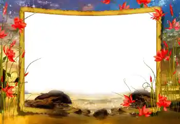 照片效果分类 夏 № 198808