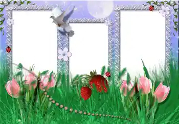 照片效果分类 夏 № 2396