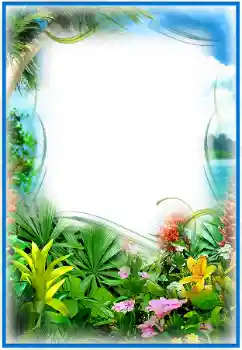 照片效果分类 夏 № 25474