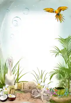 照片效果分类 夏 № 25490
