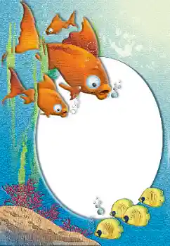 照片效果分类 夏 № 26492