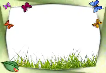 照片效果分类 夏 № 2756