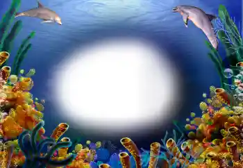 照片效果分类 夏 № 31770