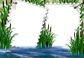 照片效果分类 夏 № 31862