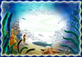 照片效果分类 夏 № 34028