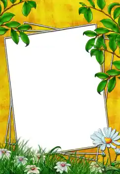 照片效果分类 夏 № 3772