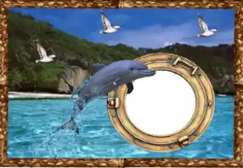 照片效果分类 夏 № 38477