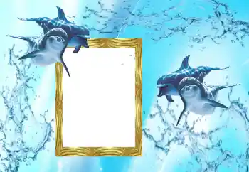 照片效果分类 夏 № 38603