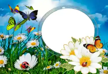 照片效果分类 夏 № 40377 照片效果分类 夏 № 40377