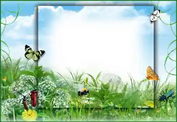 照片效果分类 夏 № 50891 照片效果分类 夏 № 50891