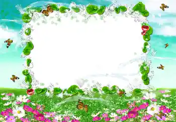 照片效果分类 夏 № 50894 照片效果分类 夏 № 50894