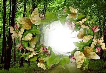 照片效果分类 夏 № 5287 照片效果分类 夏 № 5287