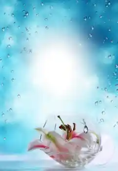 照片效果分类 夏 № 64487 照片效果分类 夏 № 64487