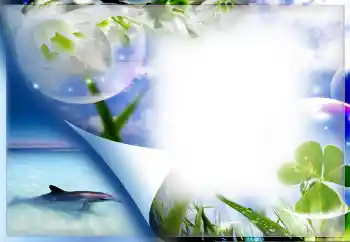 照片效果分类 夏 № 67330