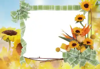 照片效果分类 夏 № 68445