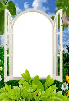 照片效果分类 夏 № 85496