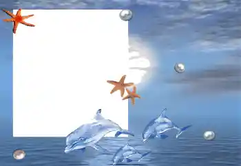 照片效果分类 夏 № 88120