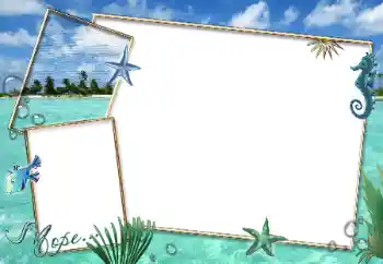照片效果分类 夏 № 90529. 边框标语: 在海边