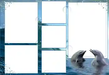 照片效果分类 夏 № 9676