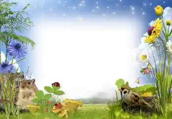 照片效果分类 夏 № 97486